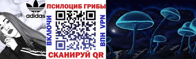 Галлюциногенные грибы Magic Shrooms  дарк нет клад  Туапсе 