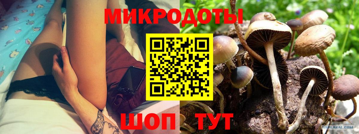 Псилоцибиновые грибы GOLDEN TEACHER  Вход с VPN  Туапсе 
